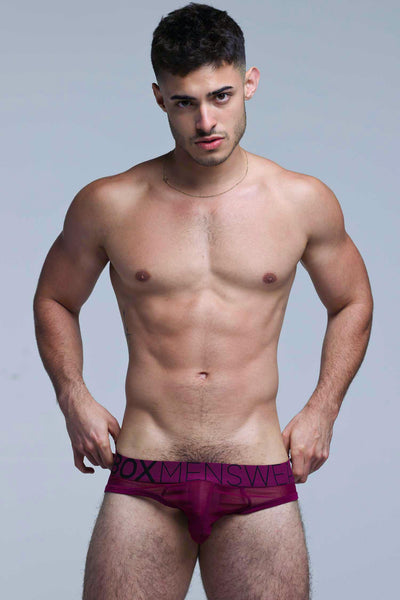 All Over Mesh Briefs - Cherry Crush