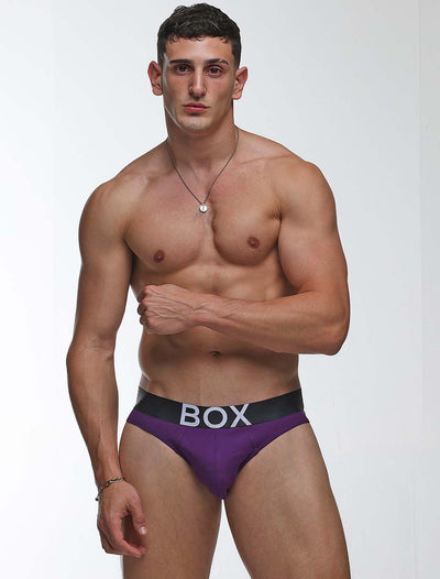 Mens Purple Briefs
