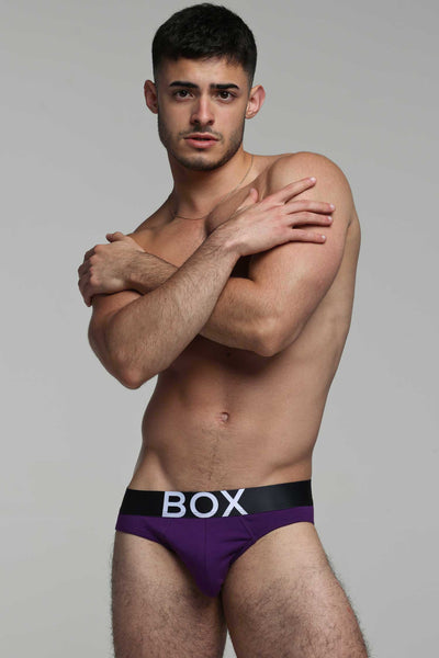 Mens Purple Briefs