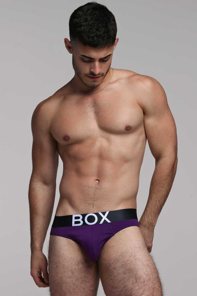 Mens Purple Briefs
