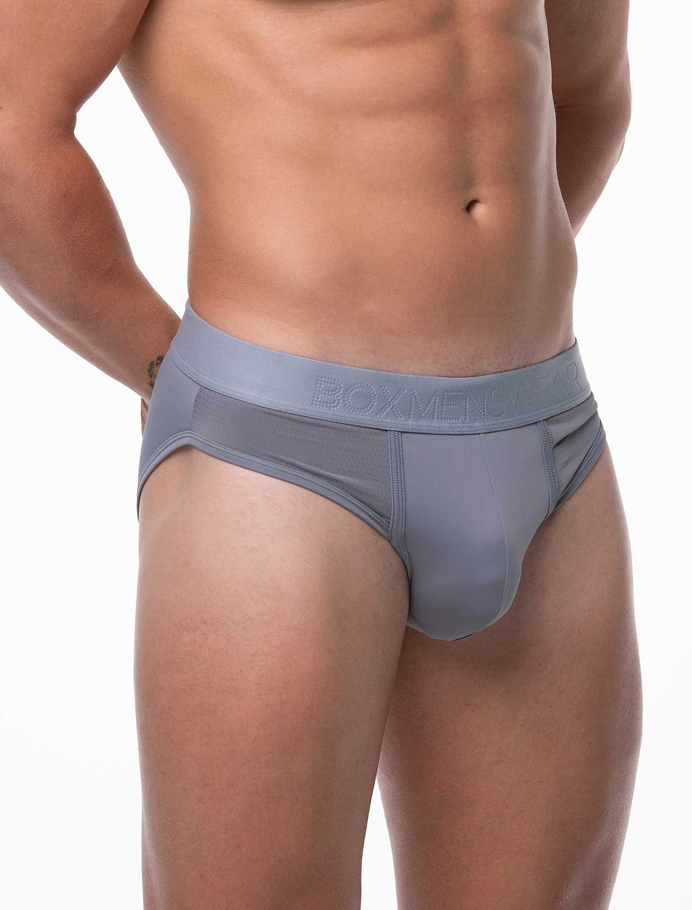 Mesh Panel Briefs - Regal Grey