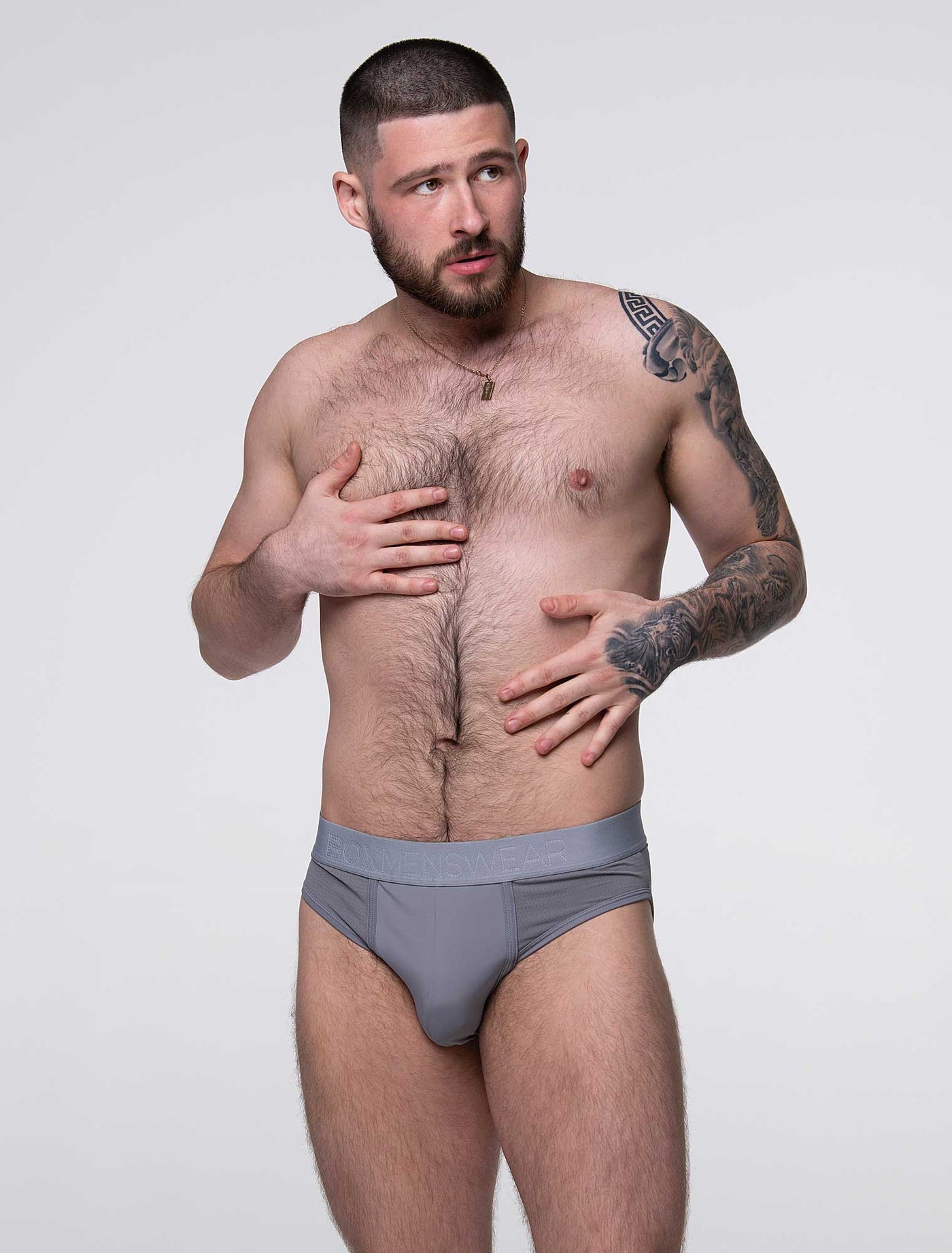 Mesh Panel Briefs - Regal Grey