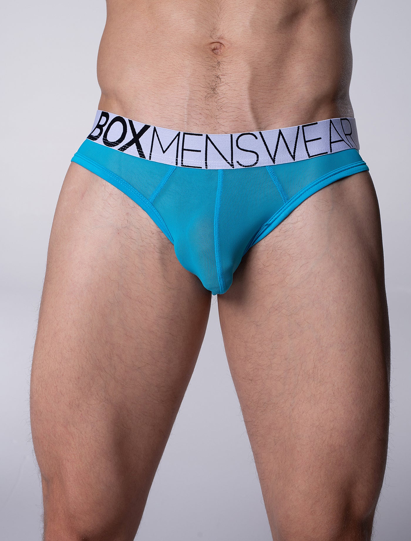 All Over Mesh Briefs - Blue Me