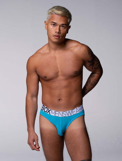 All Over Mesh Briefs - Blue Me